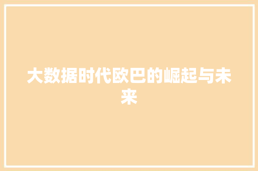 大数据时代欧巴的崛起与未来 SEO教程