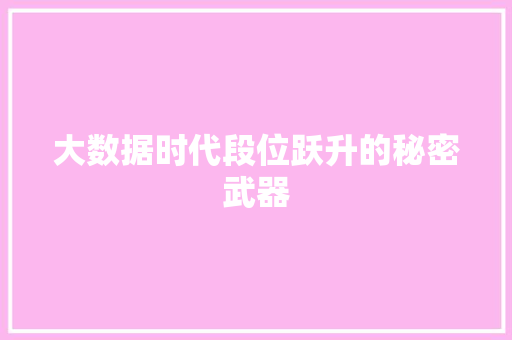 大数据时代段位跃升的秘密武器