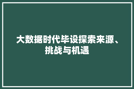 大数据时代毕设探索来源、挑战与机遇