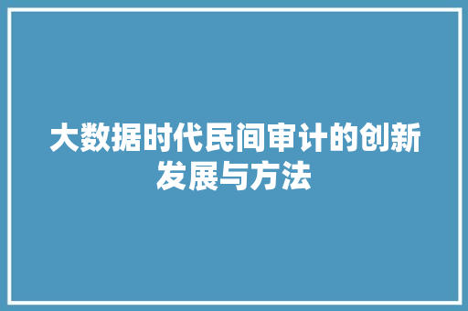 大数据时代民间审计的创新发展与方法