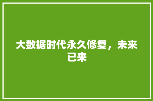 大数据时代永久修复，未来已来