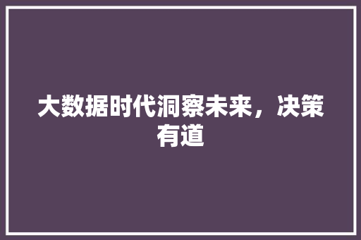 大数据时代洞察未来，决策有道