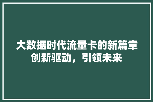 大数据时代流量卡的新篇章创新驱动，引领未来