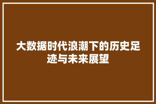 大数据时代浪潮下的历史足迹与未来展望