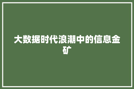 大数据时代浪潮中的信息金矿