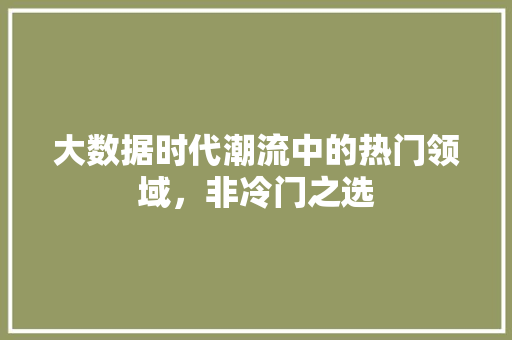 大数据时代潮流中的热门领域，非冷门之选