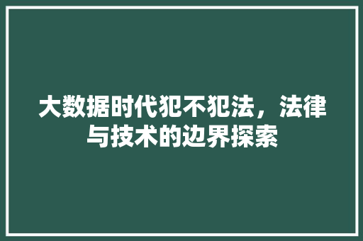 大数据时代犯不犯法，法律与技术的边界探索