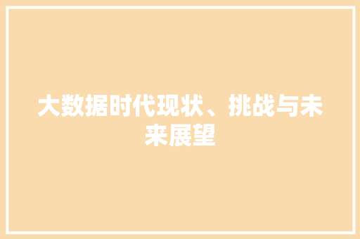 大数据时代现状、挑战与未来展望