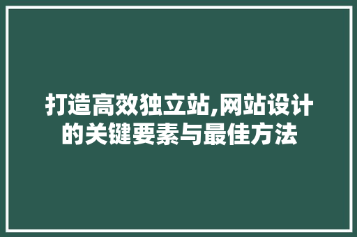 打造高效独立站,网站设计的关键要素与最佳方法