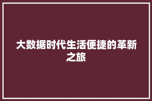 大数据时代生活便捷的革新之旅