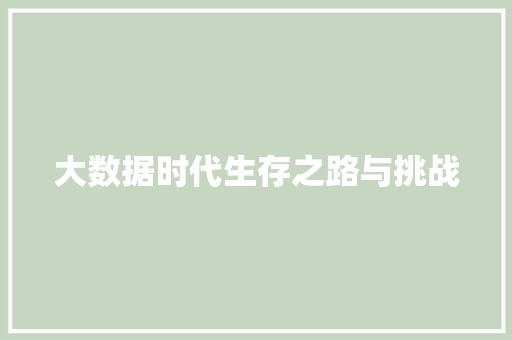 大数据时代生存之路与挑战
