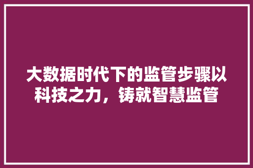 大数据时代下的监管步骤以科技之力，铸就智慧监管