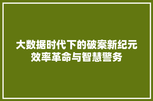 大数据时代下的破案新纪元效率革命与智慧警务