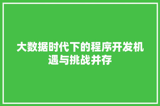 大数据时代下的程序开发机遇与挑战并存