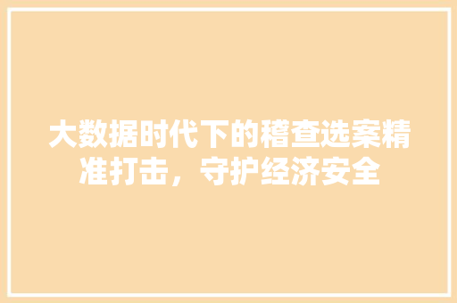 大数据时代下的稽查选案精准打击，守护经济安全
