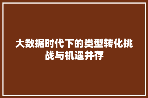大数据时代下的类型转化挑战与机遇并存