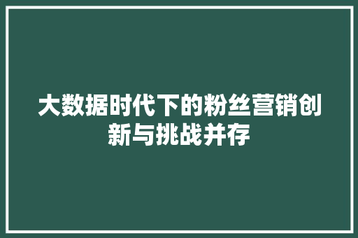 大数据时代下的粉丝营销创新与挑战并存