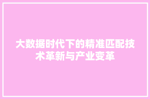 大数据时代下的精准匹配技术革新与产业变革