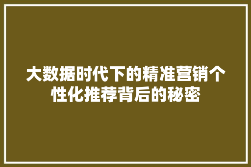 大数据时代下的精准营销个性化推荐背后的秘密