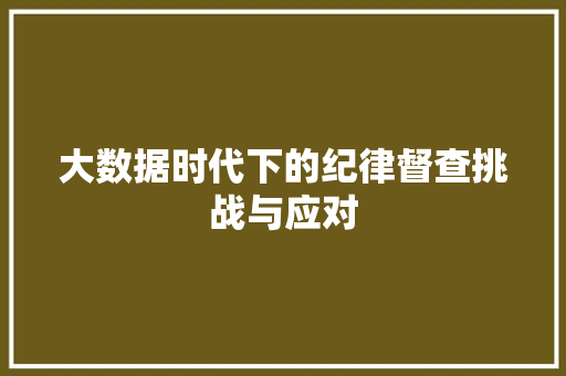 大数据时代下的纪律督查挑战与应对