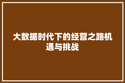 大数据时代下的经营之路机遇与挑战