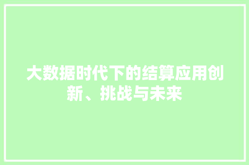 大数据时代下的结算应用创新、挑战与未来