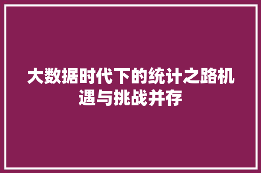大数据时代下的统计之路机遇与挑战并存