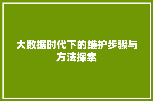 大数据时代下的维护步骤与方法探索