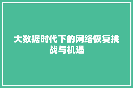 大数据时代下的网络恢复挑战与机遇