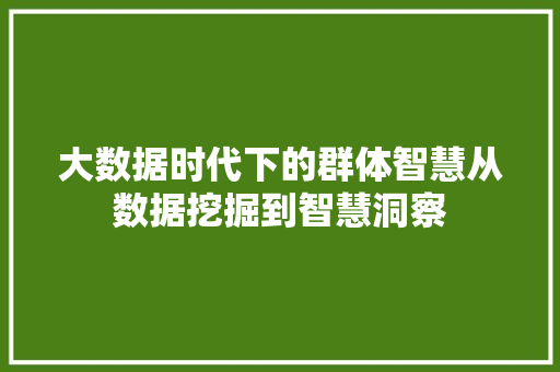 大数据时代下的群体智慧从数据挖掘到智慧洞察