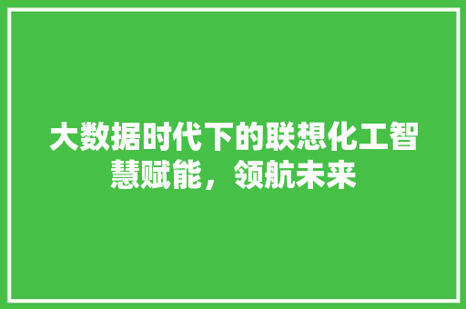 大数据时代下的联想化工智慧赋能，领航未来