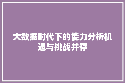 大数据时代下的能力分析机遇与挑战并存
