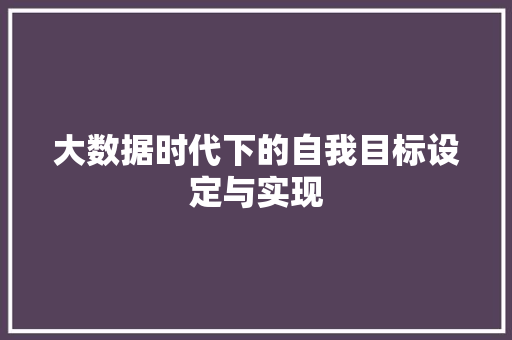 大数据时代下的自我目标设定与实现
