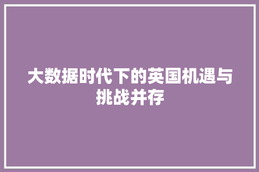 大数据时代下的英国机遇与挑战并存