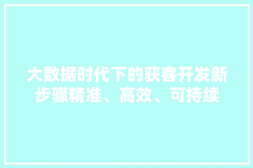 大数据时代下的获客开发新步骤精准、高效、可持续