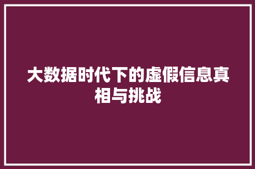 大数据时代下的虚假信息真相与挑战
