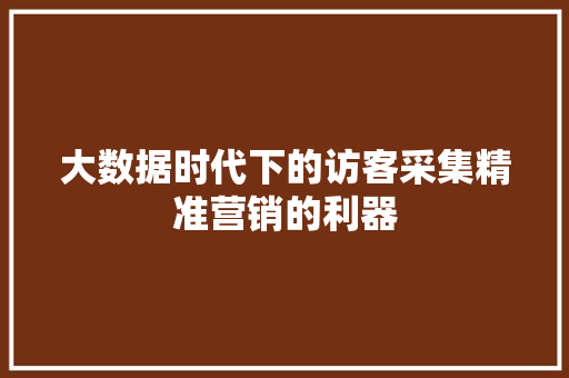 大数据时代下的访客采集精准营销的利器
