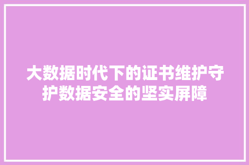 大数据时代下的证书维护守护数据安全的坚实屏障