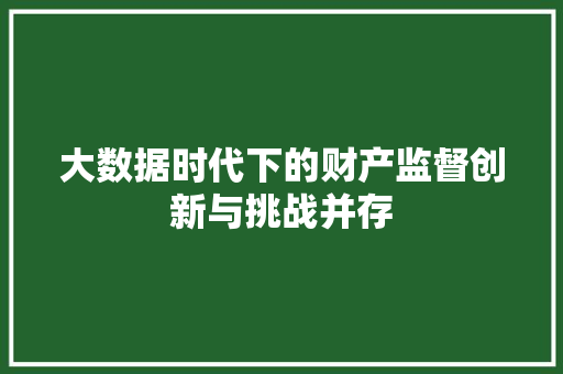 大数据时代下的财产监督创新与挑战并存