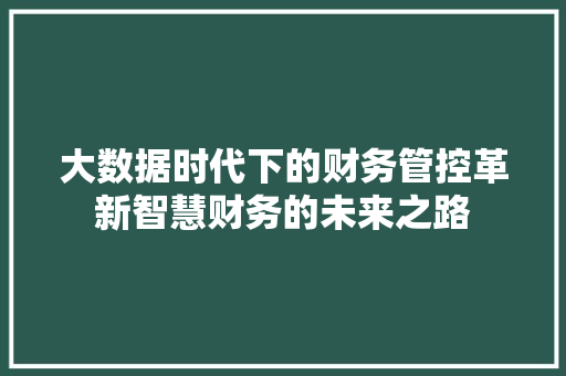 大数据时代下的财务管控革新智慧财务的未来之路