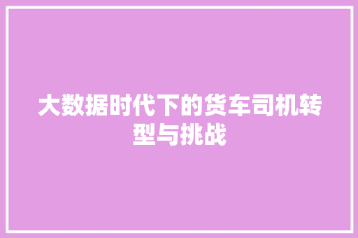 大数据时代下的货车司机转型与挑战