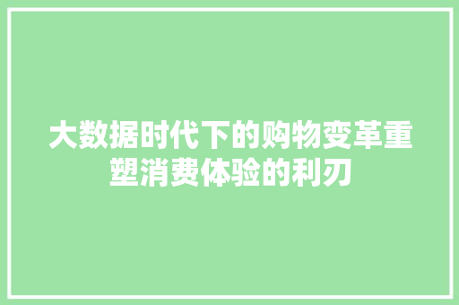 大数据时代下的购物变革重塑消费体验的利刃