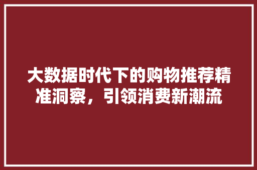 大数据时代下的购物推荐精准洞察，引领消费新潮流