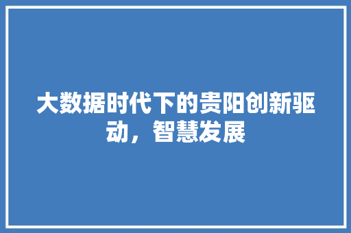 大数据时代下的贵阳创新驱动，智慧发展