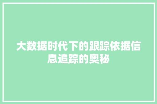 大数据时代下的跟踪依据信息追踪的奥秘