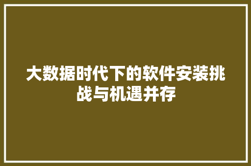 大数据时代下的软件安装挑战与机遇并存