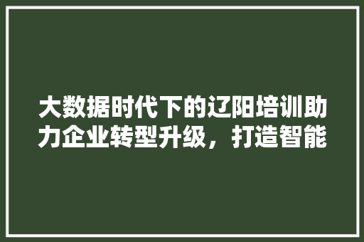大数据时代下的辽阳培训助力企业转型升级，打造智能城市新格局