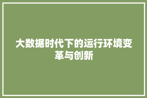 大数据时代下的运行环境变革与创新