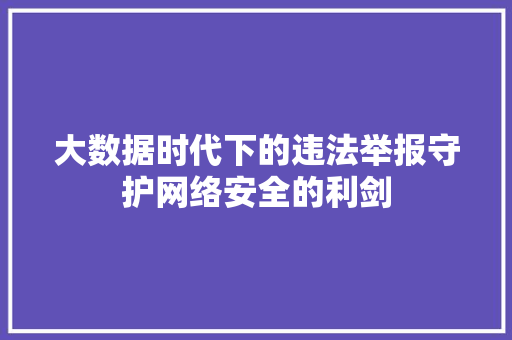 大数据时代下的违法举报守护网络安全的利剑