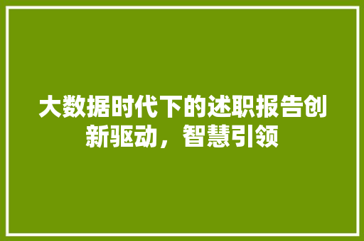 大数据时代下的述职报告创新驱动，智慧引领